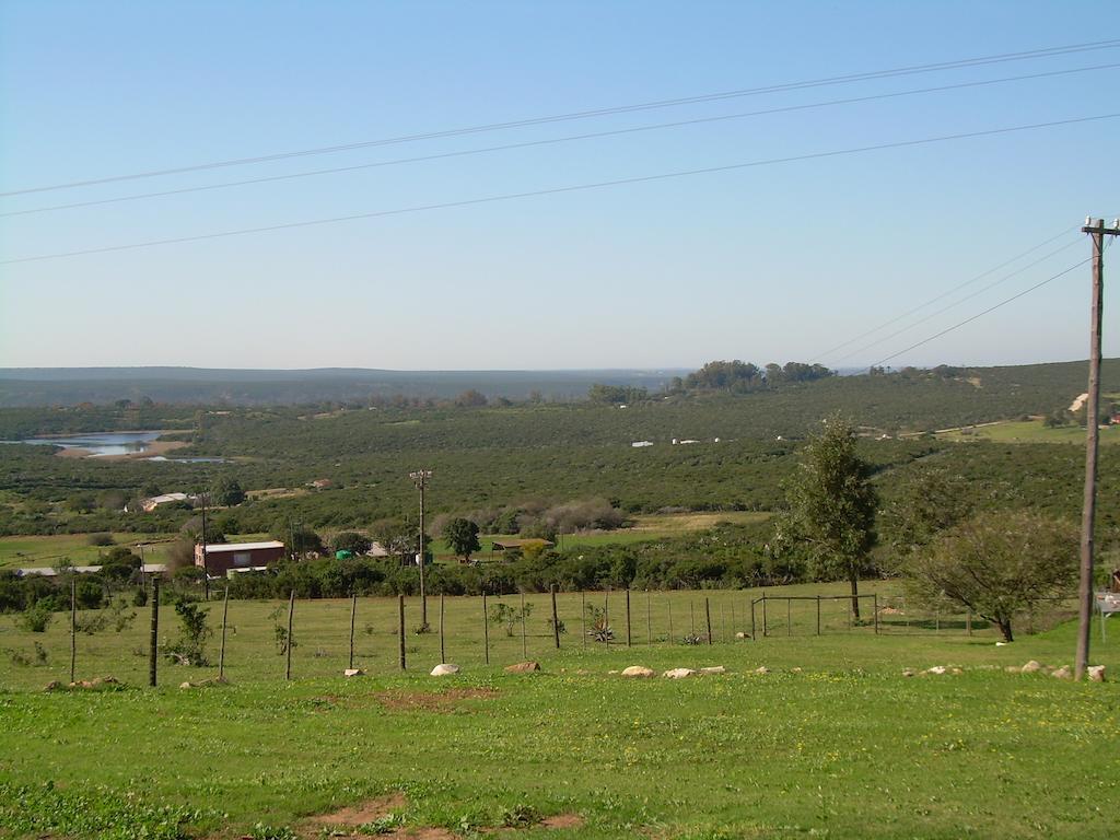 The Hexagon Wildlife Conservation Hotel Uitenhage Eksteriør billede